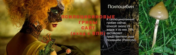 прущая мука Бронницы