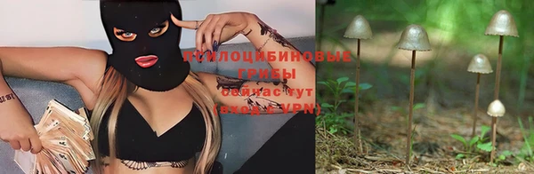 прущая мука Бронницы