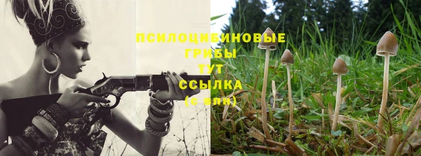 прущая мука Бронницы