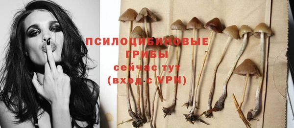 прущая мука Бронницы