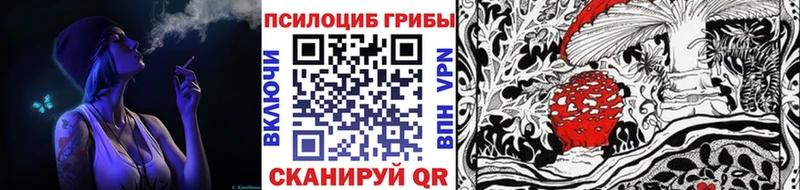 Псилоцибиновые грибы Cubensis  Благовещенск 